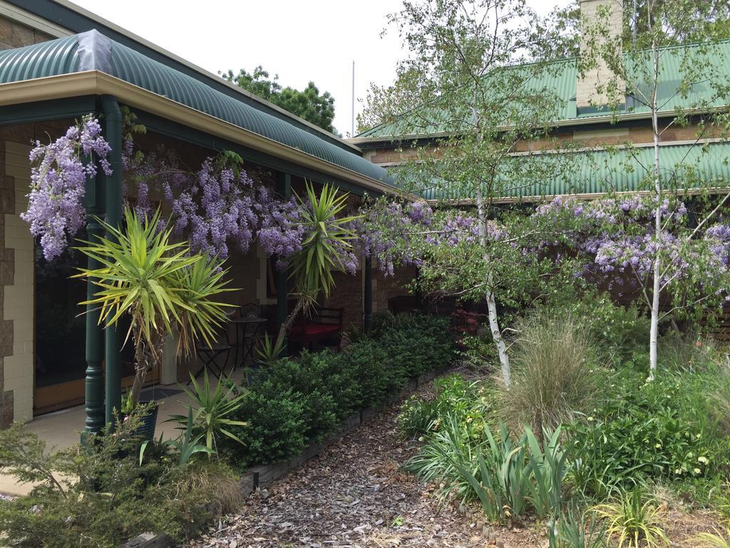 Clarevale Cottage B&B Εξωτερικό φωτογραφία